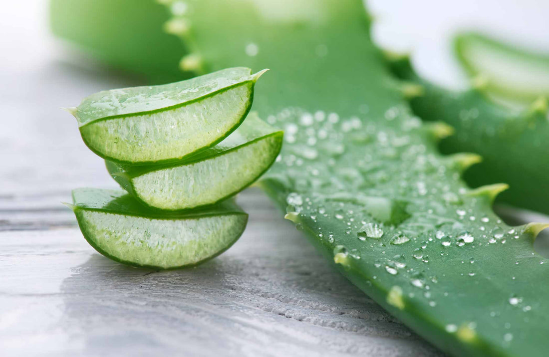 Aloe Vera Leaf Juice: The Quiet Soother in Gentle Skincare Rituals