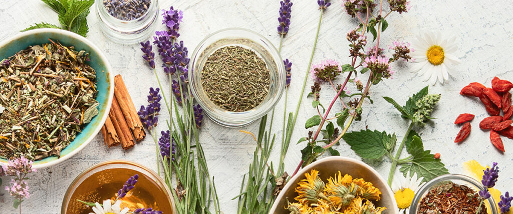 The Rise of Botanical Skincare: Why Australian-Made Rituals Are the Future of Beauty